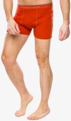Icebreaker Anatomica Boxers Termoaktív boxeralsó - molten - L