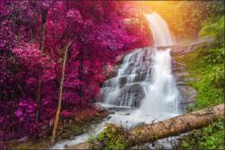 Muralo Hálószoba fotótapéta vízesés az erdőben 3D, 120×180cm, flizelin (MF_1291_VE180-120)