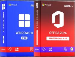 Microsoft Windows 11 Pro & Office 2024 Professional Plus (ep2-27314fqc-10537)