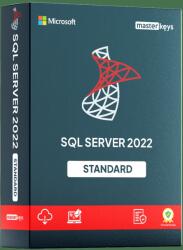 Microsoft Sql Server 2022 Standard (228-11618)