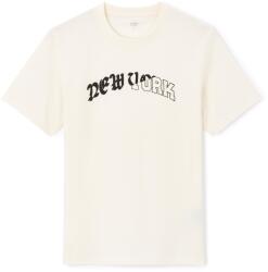 CELIO Jenico (1149957)