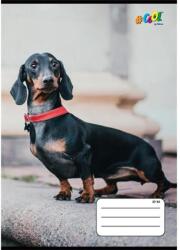 Victoria Füzet, tűzött, A5, kockás, 32 lap, COOL BY VICTORIA, "Hounds", 27-32 - tonerpiac