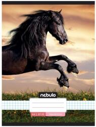 Nebulo Füzet, A4, kockás, 87-32, L-Design minták, Nebulo 12 DB/CSOMAG (NR-LD-A4)
