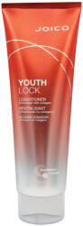 Joico YouthLock Conditioner 250 ml