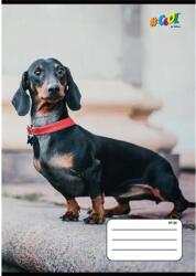 Victoria Füzet, tűzött, A5, kockás, 32 lap, COOL BY VICTORIA, "Hounds", 27-32 - nyomtassingyen