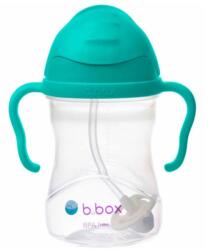 b. box B. Box, cana cu pai si manere, turcoaz, 240 ml Set pentru masa bebelusi