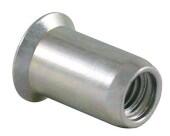 Bralo Piulite-nit Standard Cap Tesit Otel-M 3 X 8.7 (BR.301203005S)
