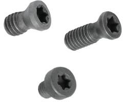 Canela Surub Torx, T 15 (CN.1435)