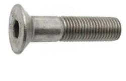 Rocast Surub cu Cap Inecat si Locas Inbus din 7991, Otel Gr. 8.8, Zincat - M16 X 45 (799181645S)