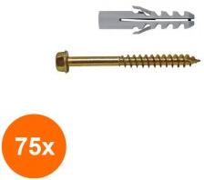 Rocast Set 75 x Elemente Fix Hex Surub 6x100 Diblu 8x40 (COR-75xAA.06006100S)