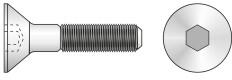 Rocast Surub Cap Inecat Locas Inbus 7991 Otel Gr. 10.9-M10 X 25 (799191025S)