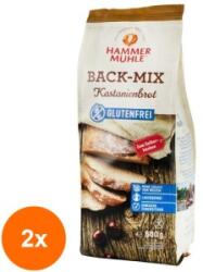 Hammer Muhle Set 2 x Mix pentru Paine cu Faina de Castane, 500 g Hammer Muhle