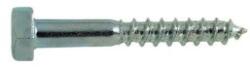 Rocast Holsurub Cap Hexagonal DIN 571 Otel Zincat 6 x 35 (05710635S)