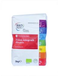 Bio All Green Faina Integrala de Grau Eco, Bio All Green, 1 kg