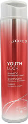 Joico YouthLock Shampoo 300 ml