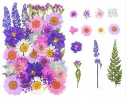  Préselt virágok, szárított, természetes, DIY, kézműves projektekhez (YL5437)