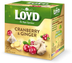 LOYD piramis tea gyömbér-áfonya - 40g