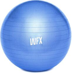  Fitnesz labda, 55cm, kék (WF-30012-001)