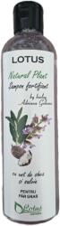 Lotus Cosmetics Sampon hidratant cu unt de shea si salvie Natural Plant, 250ml, Lotus Cosmetics