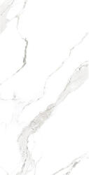 Asian Granito Gresie rectificata tip marmura, Pearl Statuario Glossy Carving, 60x120cm, alb, finisaj lucios (4000000577546)