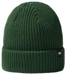 The North Face Fisherman téli sapka Pine Needle (NF0A55JGIOP)