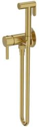 Lavita Set duș igienic LaVita, Verdi, furtun 120 cm, corp încastrat, brushed gold (57285)