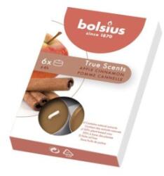 Bolsius Lumanare Pastila, Mar si Scortisoara, 6 Bucati (LCA-TRU-PB15-95-MSC-TS)
