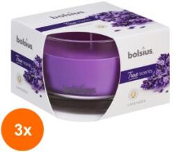 Bolsius Set 3 x Lumanare Parfumata Bolsius True Scents, in Pahar Mediu, Lavanda (GIL-3xLCA-TRU-LPM-63/90-77-TS)