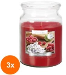 LCA Set 3 x Lumanare Parfumata in Borcan cu Capac Zmeura Lavanda Alba, 100 Ore (GIL-3xLCA-SND99-352)