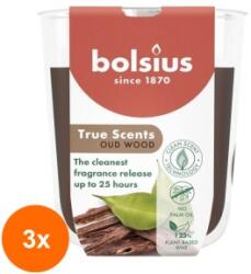 Bolsius Set 3 x Lumanare Parfumata in Pahar, Lemn de oud, Bolsius, 80 x 73 mm (GIL-3xLCA-TRU-LP-80-73-70)