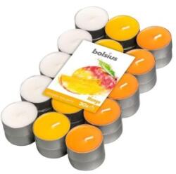 Bolsius Lumanari Pastila, Parfumate, Mango, 38 mm, 4 Ore, Bolsius, 30 Bucati (LCA-PBA30N-10-MAN)