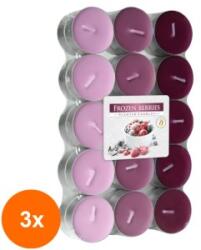 LCA Set 3 x 30 Lumanari Pastila, 4 Ore, Fructe de Padure Inghetate (GIL-3xLCA-P30-314)