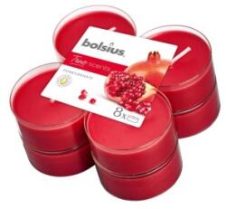 Bolsius Lumanari Pastila 8h, 8 Buc, Bolsius - Rodie (LCA-TRU-PT40-15-TS)