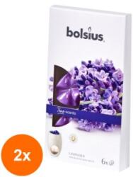 LCA Set 2 x Cipsuri din Parafina Parfumata - Lavanda - 6 Buc (GIL-2xLCA-TRU-CPS-77-TS)