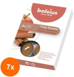 Bolsius Set 7 x 6 Lumanare Pastila, Mar si Scortisoara (GIL-7xLCA-TRU-PB15-95-MSC-TS)