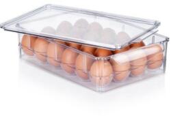 Vilde Cutie pentru 24 Oua, Plastic, 32 x 21 x 8 cm, Transparent, Vilde (MRK-259634)