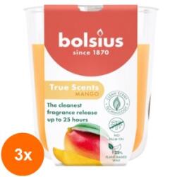 Bolsius Set 3 x Lumanare Parfumata in Pahar, Mango, Bolsius, 80 x 73 mm (GIL-3xLCA-TRU-LP-80-73-10)