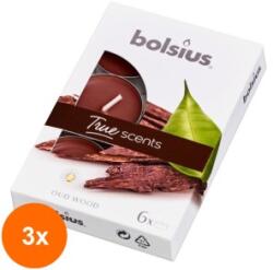 Bolsius Set 3 x 6 Lumanari Pastila 4h Bolsius - Lemn de Oud (GIL-3xLCA-TRU-PB15-70-OUD-TS)