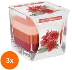 BISPOL Set 3 x Lumanare Parfumata in Pahar in Trei Culori Hibiscus si Salvie Alba, 32 Ore (GIL-3xLCA-SNK80-356)