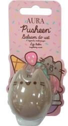 BI-ES Balsam de Buze Bi Es Aura Pusheen, Zmeura, 3 g (AUR00021)