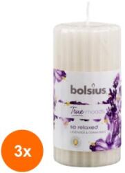 Bolsius Set 3 x Lumanare Stalp 120/58 mm Bolsius - So Relaxed Lavanda si Musetel (GIL-3xLCA-TRU-STP-120/58-76-TM)