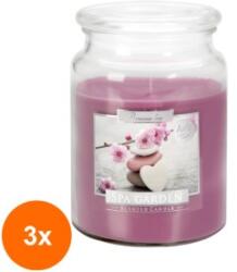 LCA Set 3 x Lumanare Parfumata in Borcan cu Capac, Gradina Spa, 100 Ore (GIL-3xLCA-SND99-254)