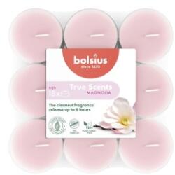 Bolsius Lumanare Pastila in Pahar Bolsius, Magnolie, 6 Ore, 18 Bucati (LCA-TRU-PT6H-04)