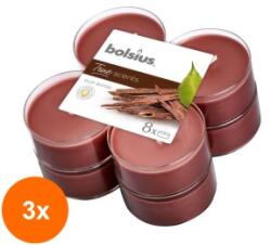 Bolsius Set 3 x 8 Lumanari Pastila 8h, Bolsius - Lemn de Oud (GIL-3xLCA-TRU-PT40-70-TS)