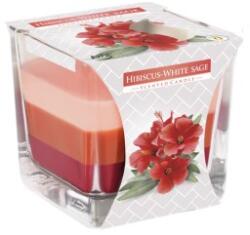 BISPOL Lumanare Parfumata in Pahar in Trei Culori Hibiscus si Salvie Alba, 32 Ore (LCA-SNK80-356)
