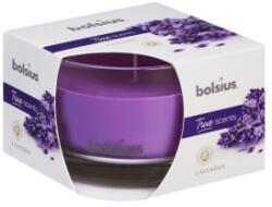 Bolsius Lumanare Parfumata Bolsius True Scents, in Pahar Mediu, Lavanda (LCA-TRU-LPM-63/90-77-TS)