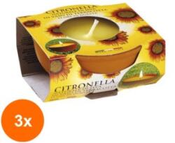 LCA Set 3 x Lumanare Citronella, Recipient Teracota, 10 Ore (GIL-3xLCA-CIT-TK)