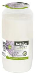 Bolsius Candela Alba Rezerva, Nr. 5, 105 Ore, Bolsius (LCA-BP-NO5-A)