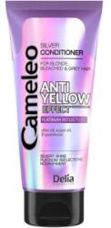 Cameleo Balsam Nuantator Cameleo Silver Reflex 200 ml