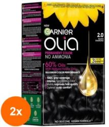 Garnier Set 2 x Vopsea Permanenta fara Amoniac, 2.0 Negru Diamant, Garnier Olia, 112 ml